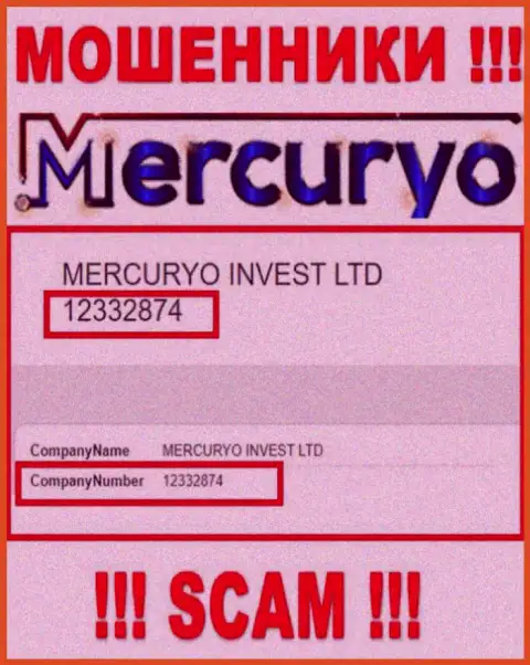 Номер регистрации противозаконно действующей конторы Меркурио: 12332874