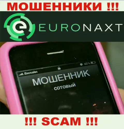Вас намерены раскрутить на финансовые средства, EuroNax в поиске очередных наивных людей