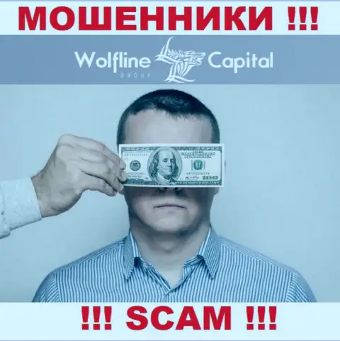 Работа Wolfline Capital НЕЛЕГАЛЬНА, ни регулятора, ни лицензии на право осуществления деятельности НЕТ