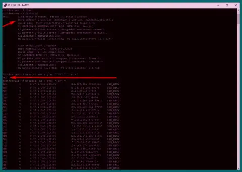 Доказательство ДДоС атаки на сервер maximarkets.pro