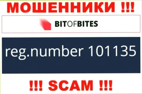 Номер регистрации компании BitOfBites, который они указали у себя на интернет-портале: 101135