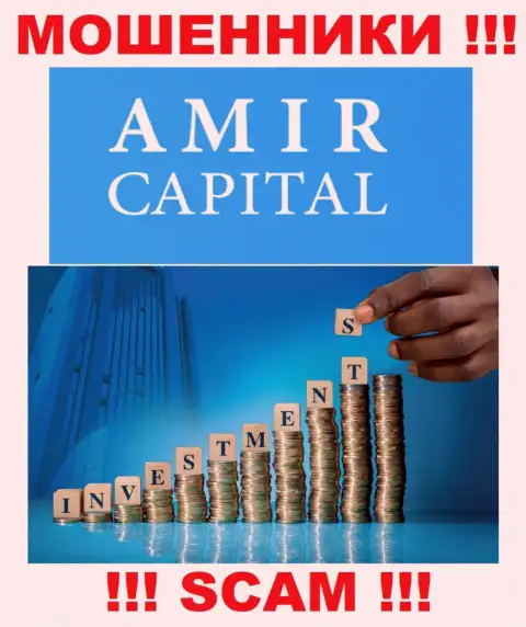 Не вводите средства в Амир Капитал, род деятельности которых - Инвестирование
