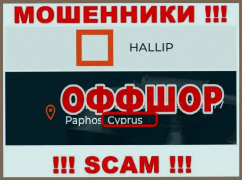 Лохотрон Hallip имеет регистрацию на территории - Cyprus