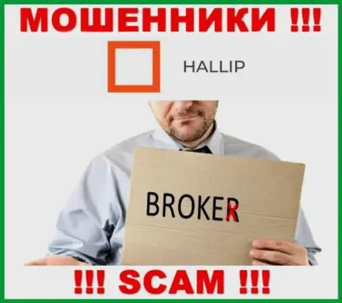Род деятельности интернет-обманщиков Халлип - это Broker, но помните это разводилово !!!