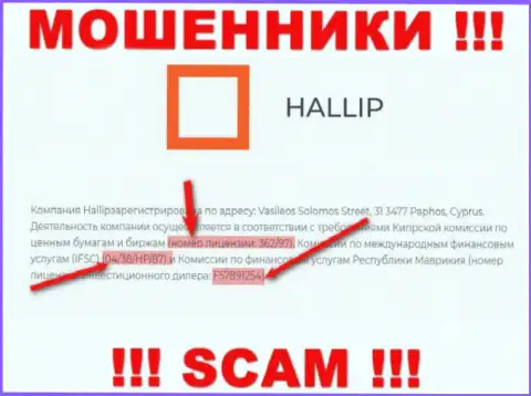 Не работайте с жуликами Hallip Com - наличием номера лицензии на осуществление деятельности, на интернет-портале, заманивают доверчивых людей