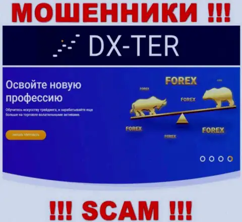 С конторой DX-Ter Com сотрудничать опасно, их сфера деятельности ФОРЕКС - это ловушка