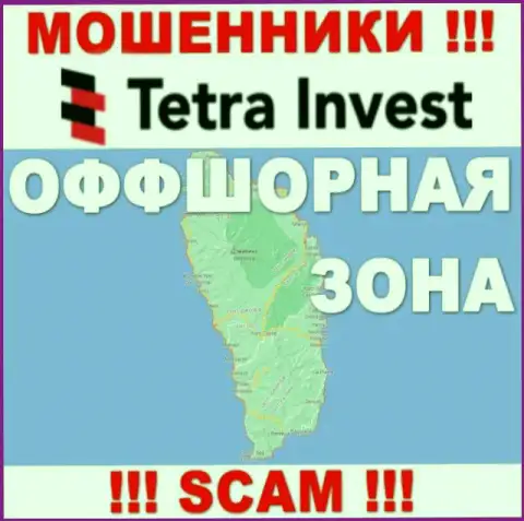 В конторе Tetra-Invest Co спокойно обманывают наивных людей, потому что скрываются в оффшорной зоне на территории - Dominica