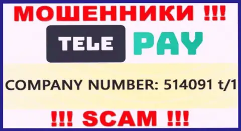 Регистрационный номер ТелеПай, который показан мошенниками на их web-ресурсе: 514091 t/1