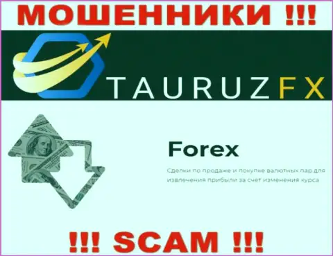 Форекс это именно то, чем промышляют разводилы Taurus Investor Services Ltd