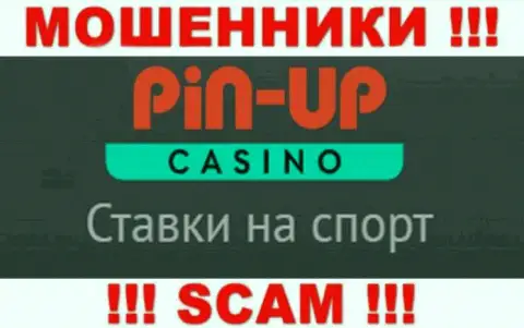Основная деятельность Pin UpCasino - это Casino, будьте очень осторожны, прокручивают делишки незаконно
