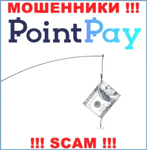В конторе PointPay Io обманными способами раскручивают валютных игроков на дополнительные вклады