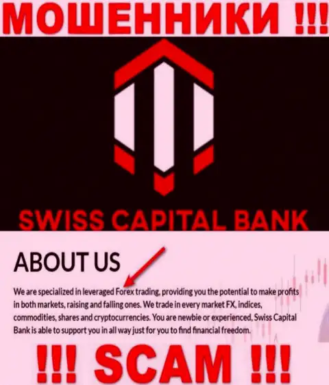Forex - в данном направлении оказывают услуги мошенники Swiss C Bank