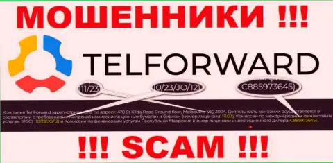 На сервисе TelForward Net есть лицензионный документ, но это не меняет их мошенническую суть