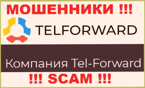 Юридическое лицо Тел-Форвард - это Tel-Forward, именно такую информацию разместили разводилы у себя на web-портале