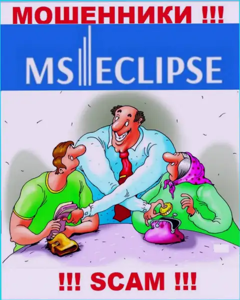 MSEclipse - раскручивают валютных игроков на финансовые активы, ОСТОРОЖНЕЕ !!!