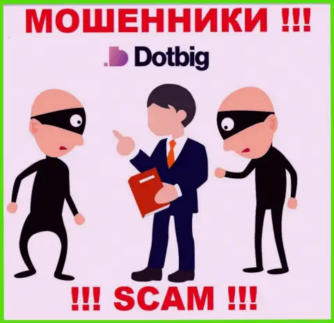 DotBig Com бессовестно грабят лохов, требуя процент за возврат средств