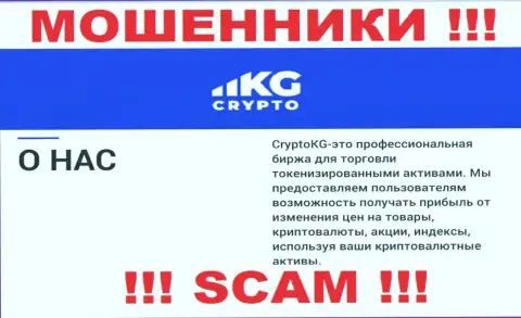 Крипто торговля - сфера деятельности, в которой мошенничают CryptoKG, Inc