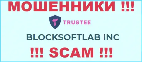Trustee Wallet - это МОШЕННИКИ !!! Владеет указанным лохотроном BLOCKSOFTLAB INC