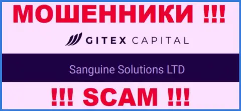 Юридическое лицо ГитексКапитал - это Сангин Солютионс ЛТД, именно такую информацию разместили мошенники у себя на web-ресурсе