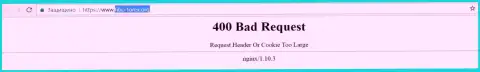 Официальный интернет-портал брокерской компании FIBO-forex Org некоторое количество дней недоступен и выдает - 400 Bad Request (ошибочный запрос)